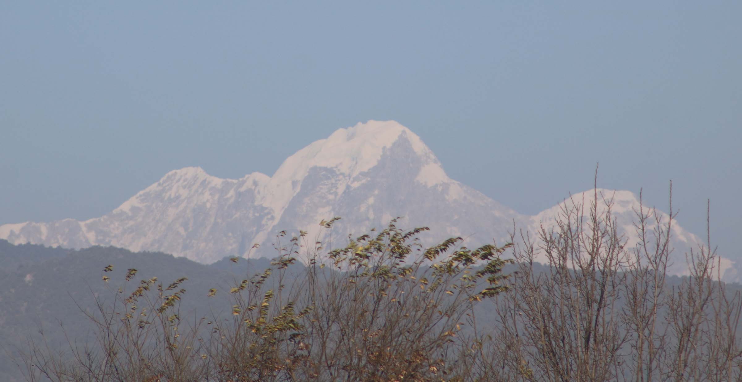 वर्षा र हिमपात नहुँदा पशुलाई चरन अभाव